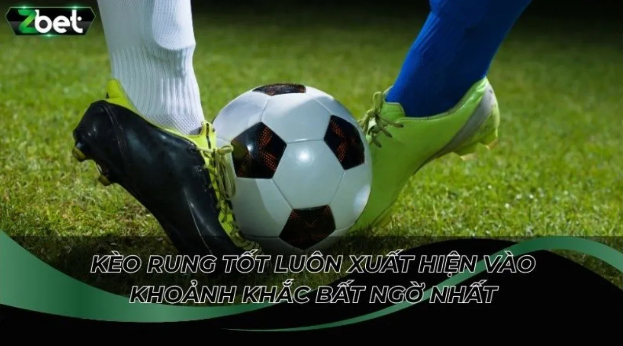 Cược rung chuẩn chỉ với vài bí kíp đơn giản hiệu quả